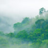 Tour a Tarapoto 5D/4N - Imagen 3