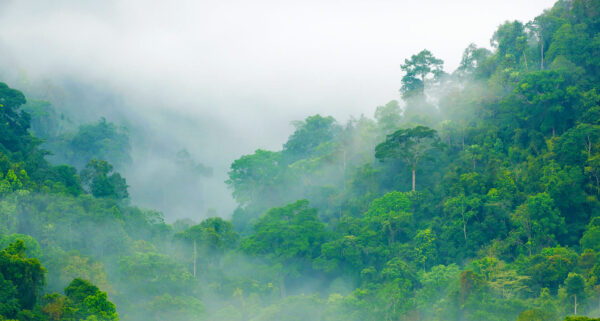 Tour a Tarapoto 5D/4N - Imagen 3